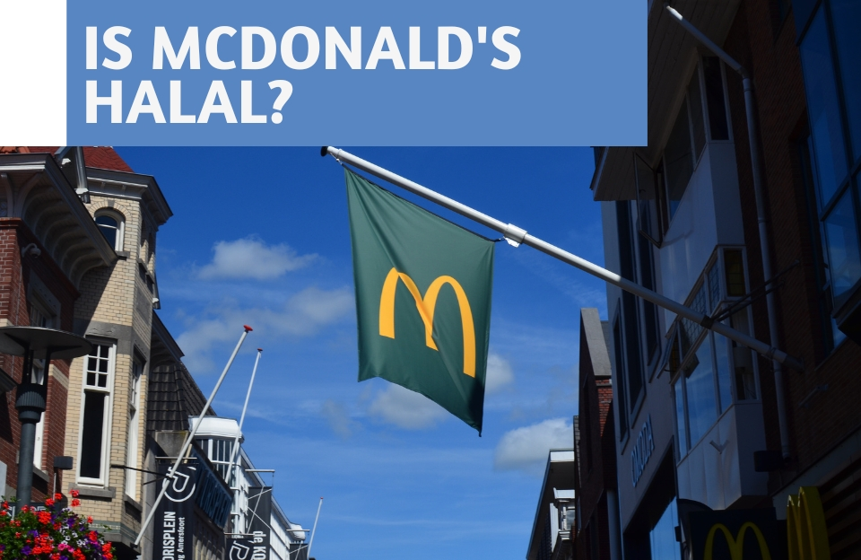 Is McDonald's Halal It Depends Where You Are (Country-by-Country Guide)